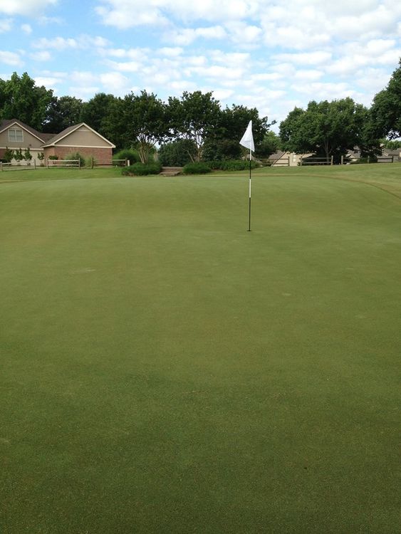 Wedgewood Golf Course All Square Golf