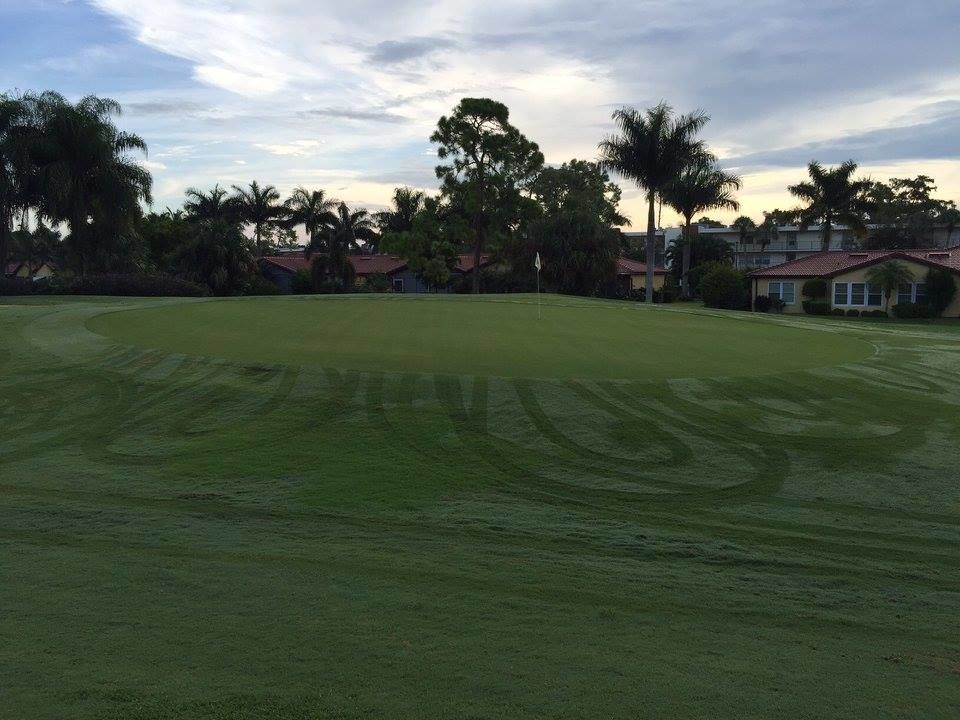 Evergreen Golf and Country Club cover picture