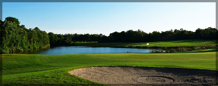 Country Club of Silver Springs Shores - Golf Course - All ...