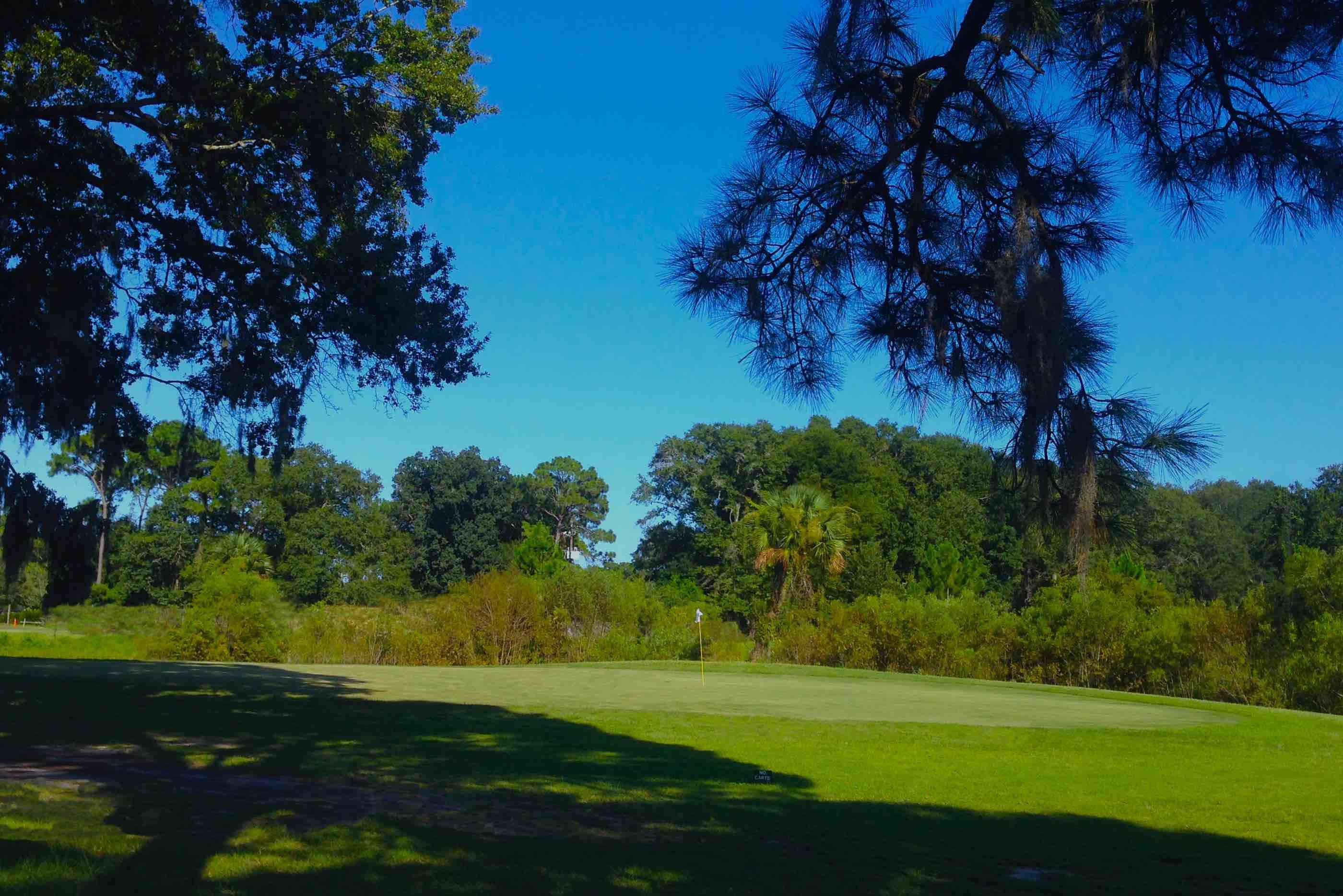 Blue Cypress Golf Club cover picture