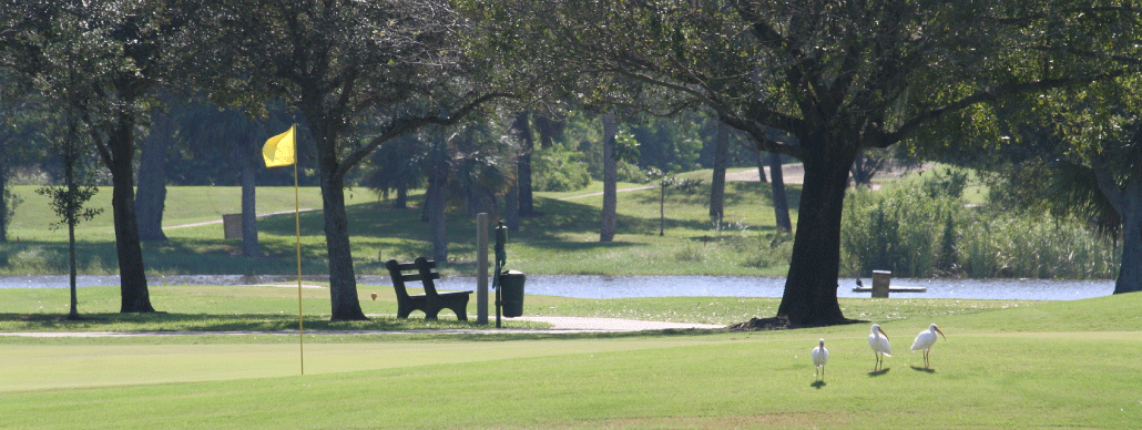 Fairwinds Golf Course cover picture