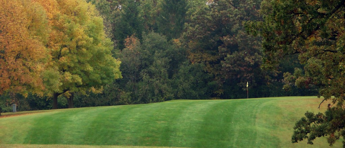 Twin Lakes Country Club cover picture