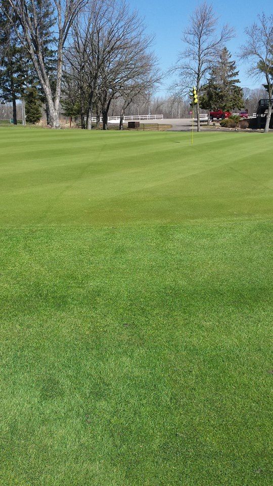Wapicada Golf Club cover picture