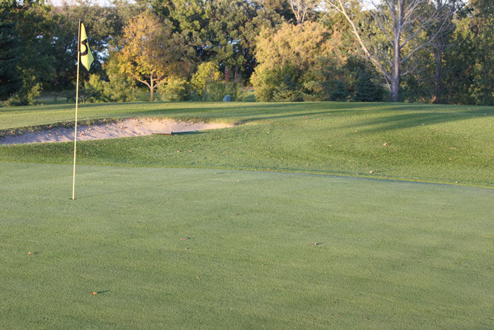 Birchwood Golf Course cover picture