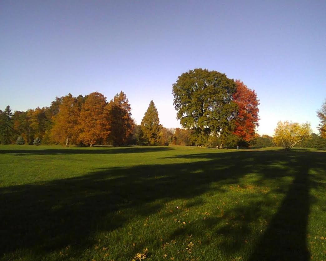 Oak Ridge Golf Course cover picture