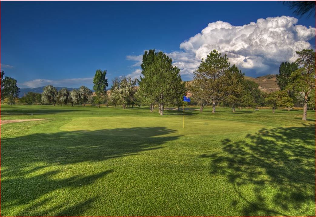 Rose Park Golf Course cover picture