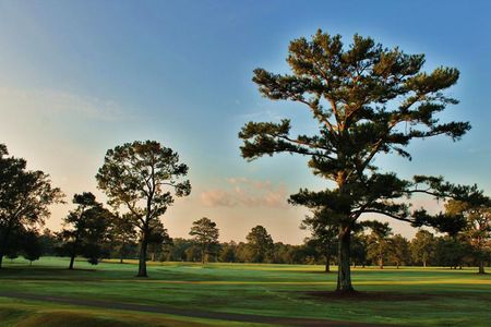 Musgrove Country Club cover picture