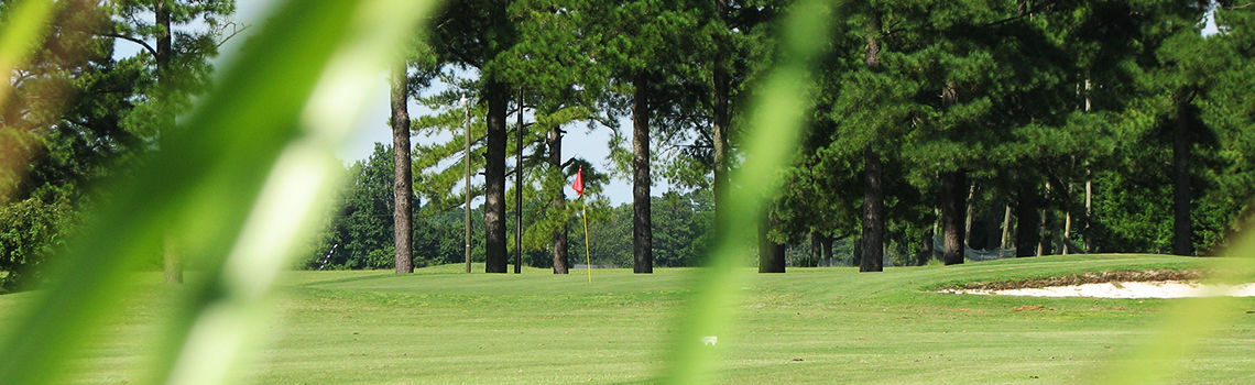Cardinal Creek Golf Course cover picture
