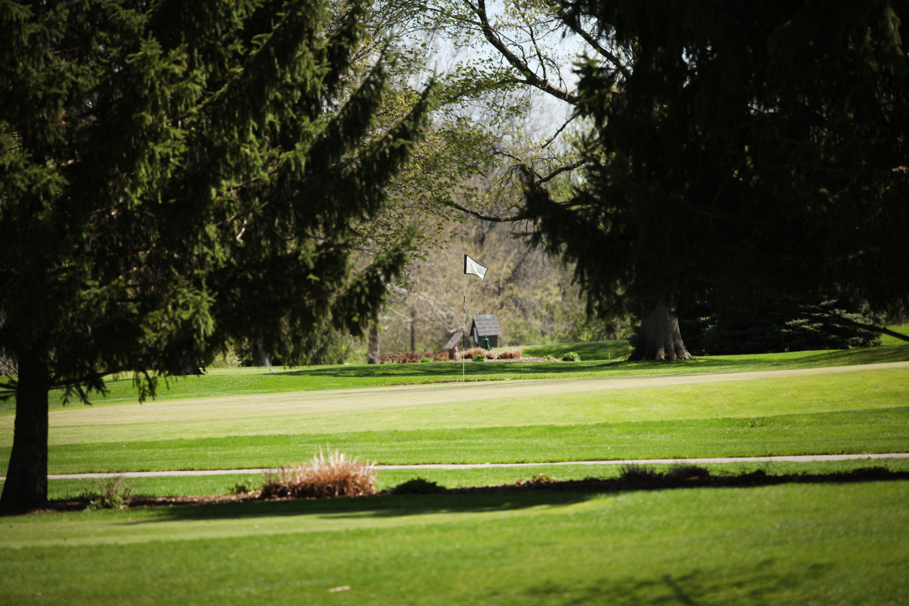 Mattoon Golf and Country Club cover picture