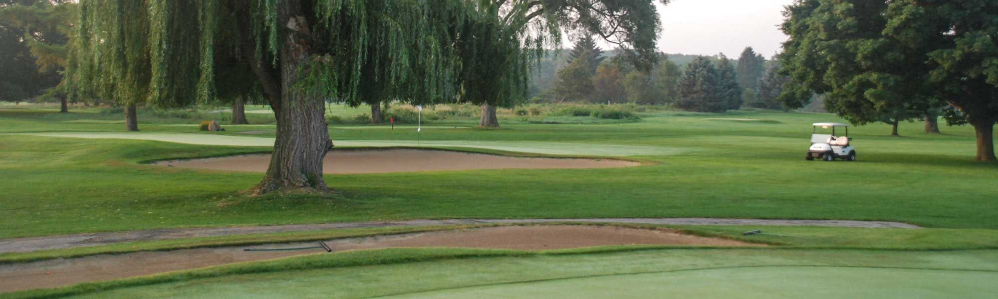 Tecumseh Country Club cover picture