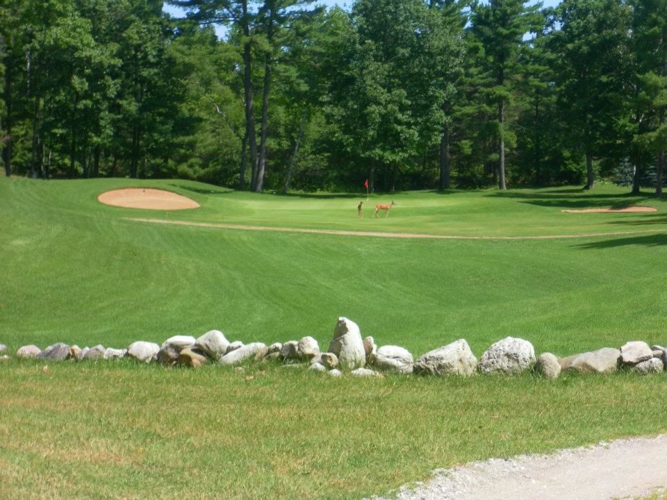 Hessel Ridge Golf Course cover picture