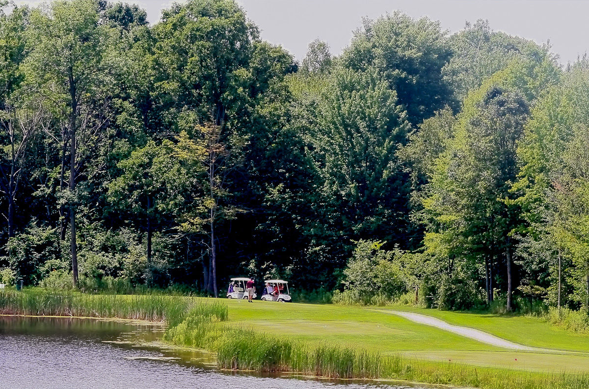 The Timbers Golf Course cover picture