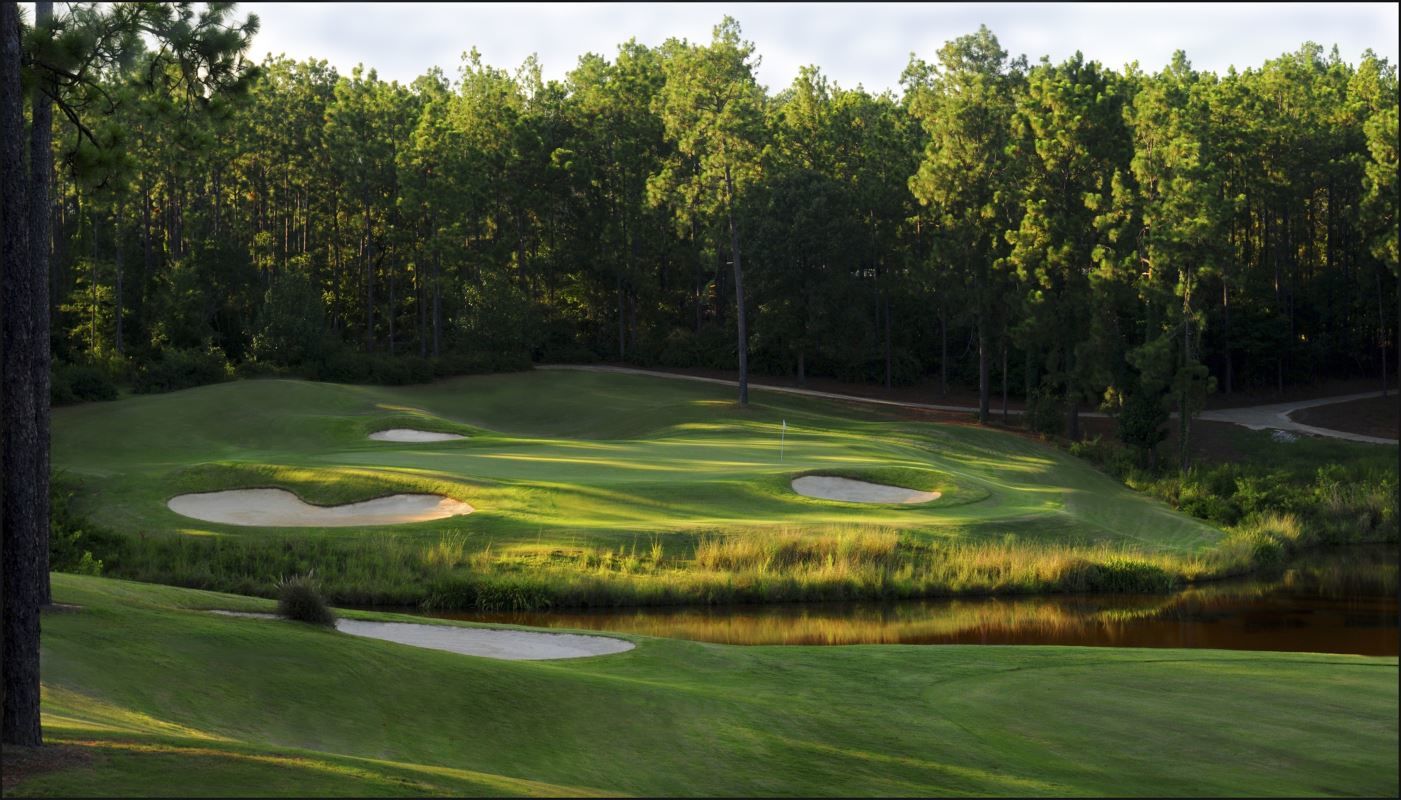 Timberton Golf Club cover picture