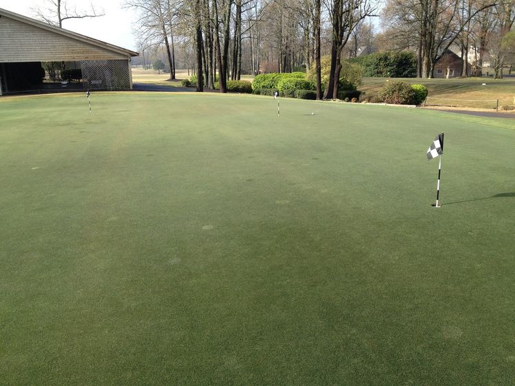 Wedgewood Golf Course All Square Golf