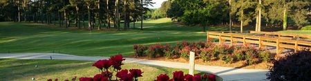 Bay Pointe Resort and Golf Club cover picture