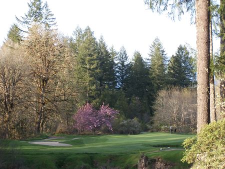 Elkhorn Valley Golf Course cover picture