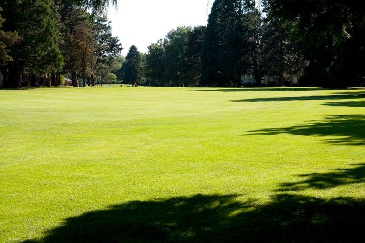 Santiam Golf Club All Square Golf