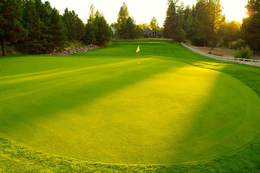 Old Back 9 at Mountain High cover picture