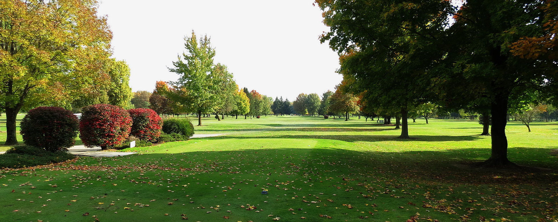 Riverview Golf Course cover picture