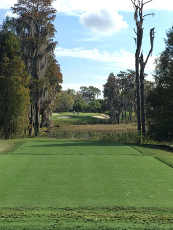 Golf post media