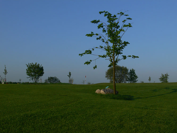 Curau e.V. All Square Golf