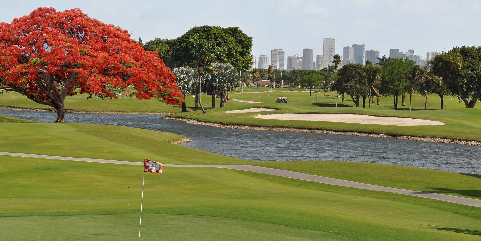 International Links Miami cover picture