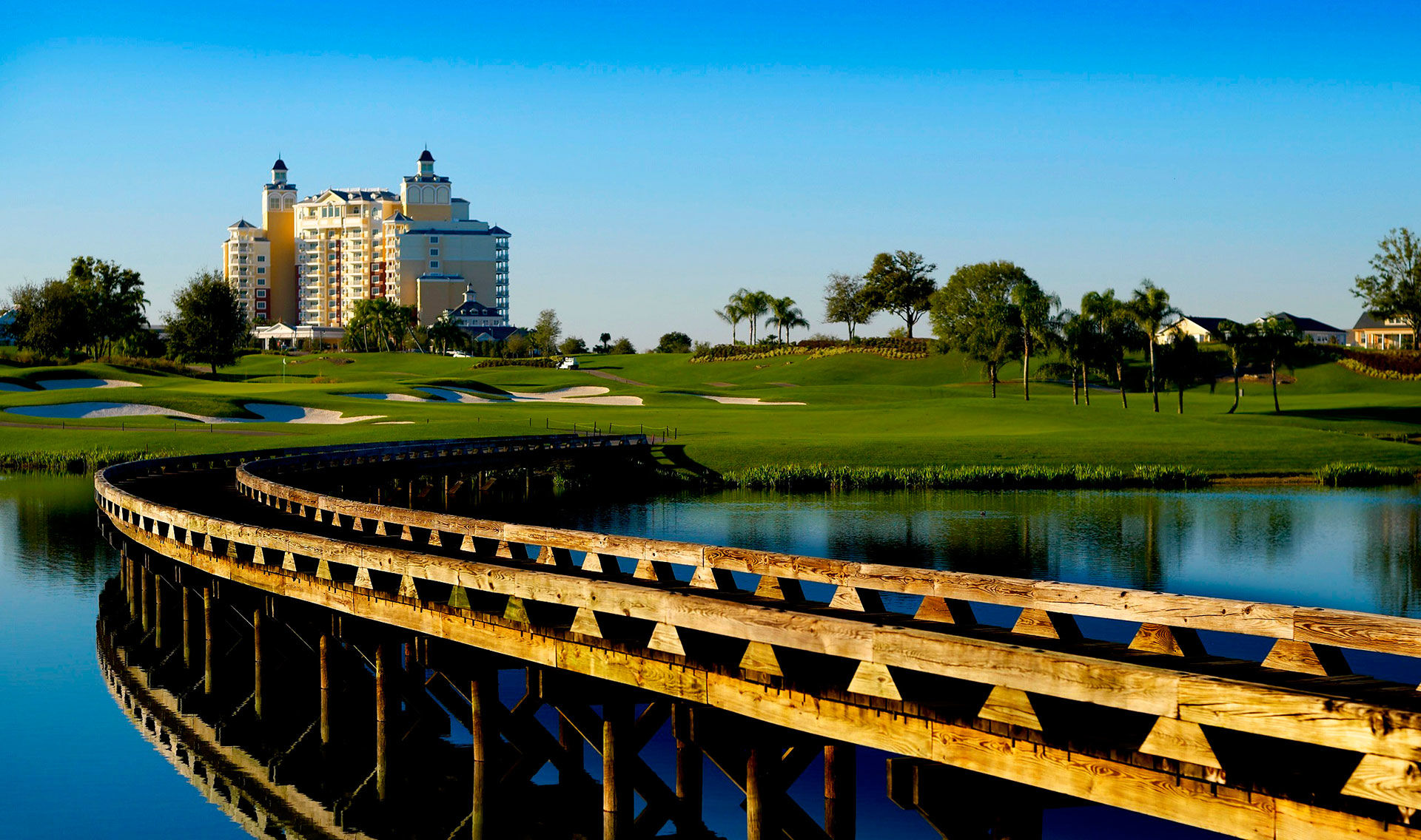 Shane Lewis Cover Picture