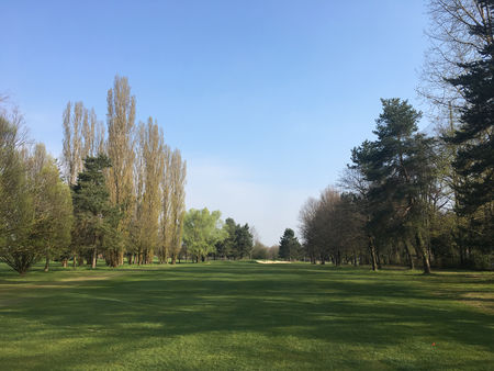 Golf post media