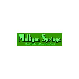 Mulligan Springs Golf Course's logo