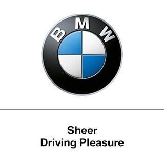 BMW International Open Logo