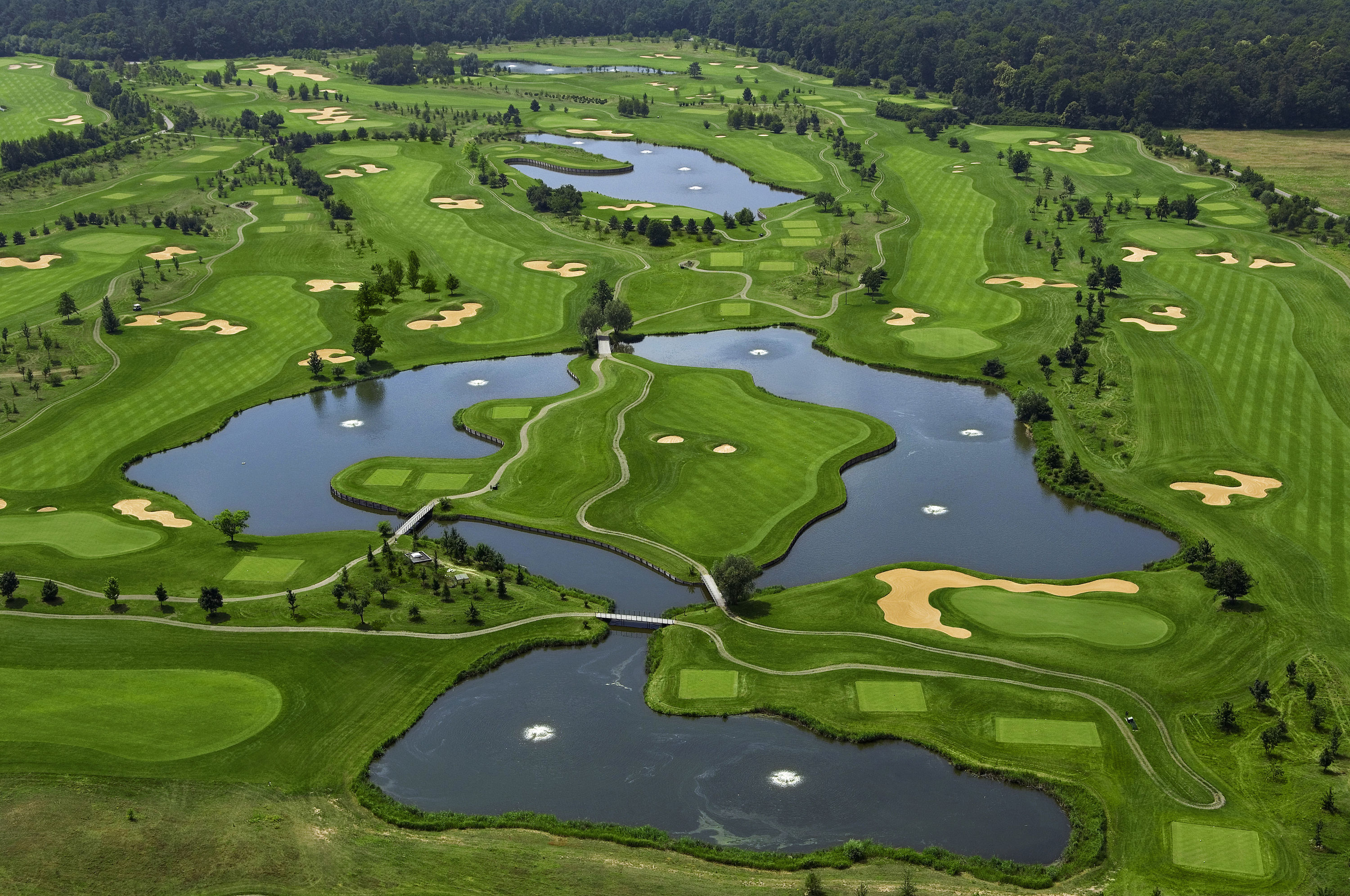 Frank Adamowicz All Square Golf