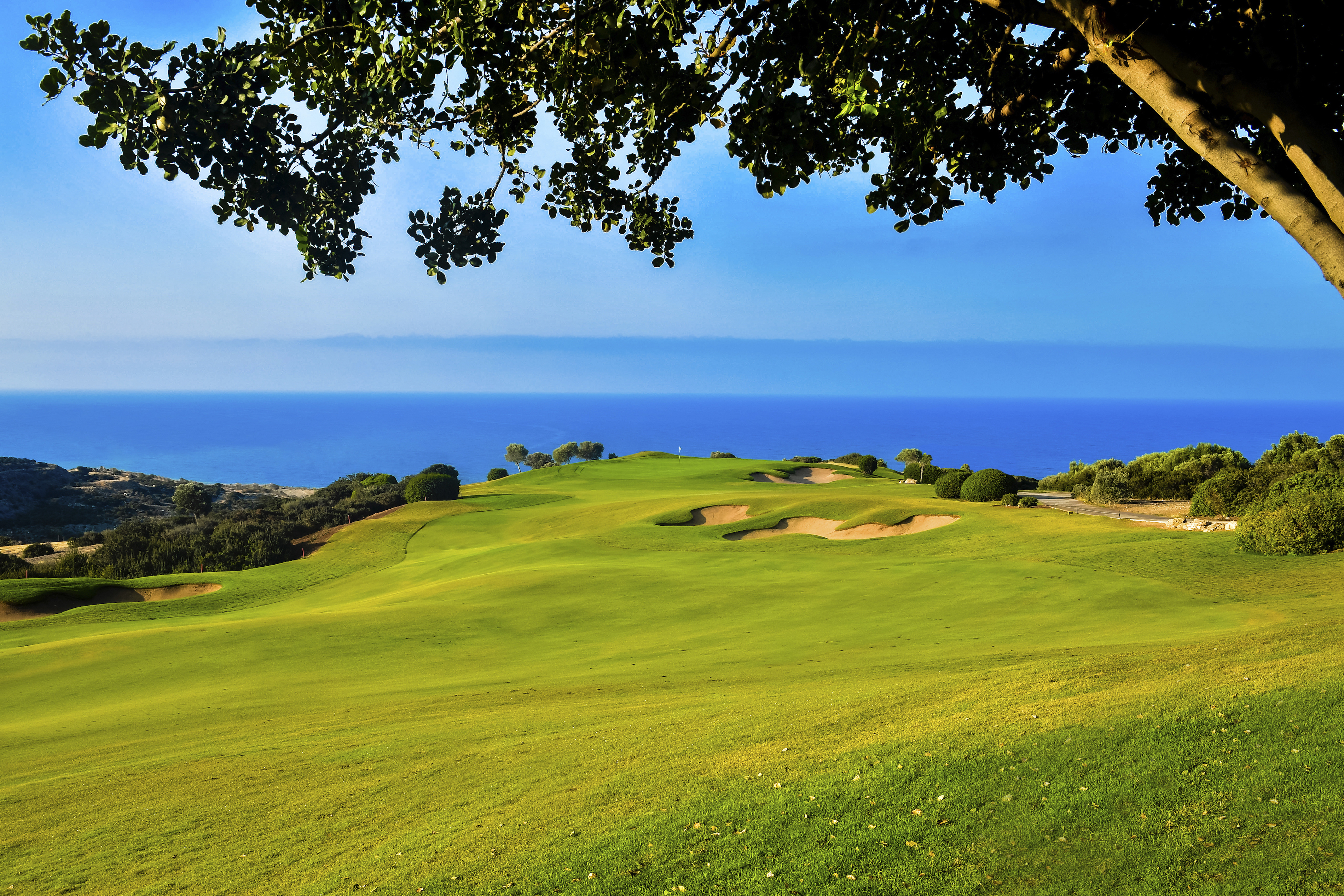 Golf post media