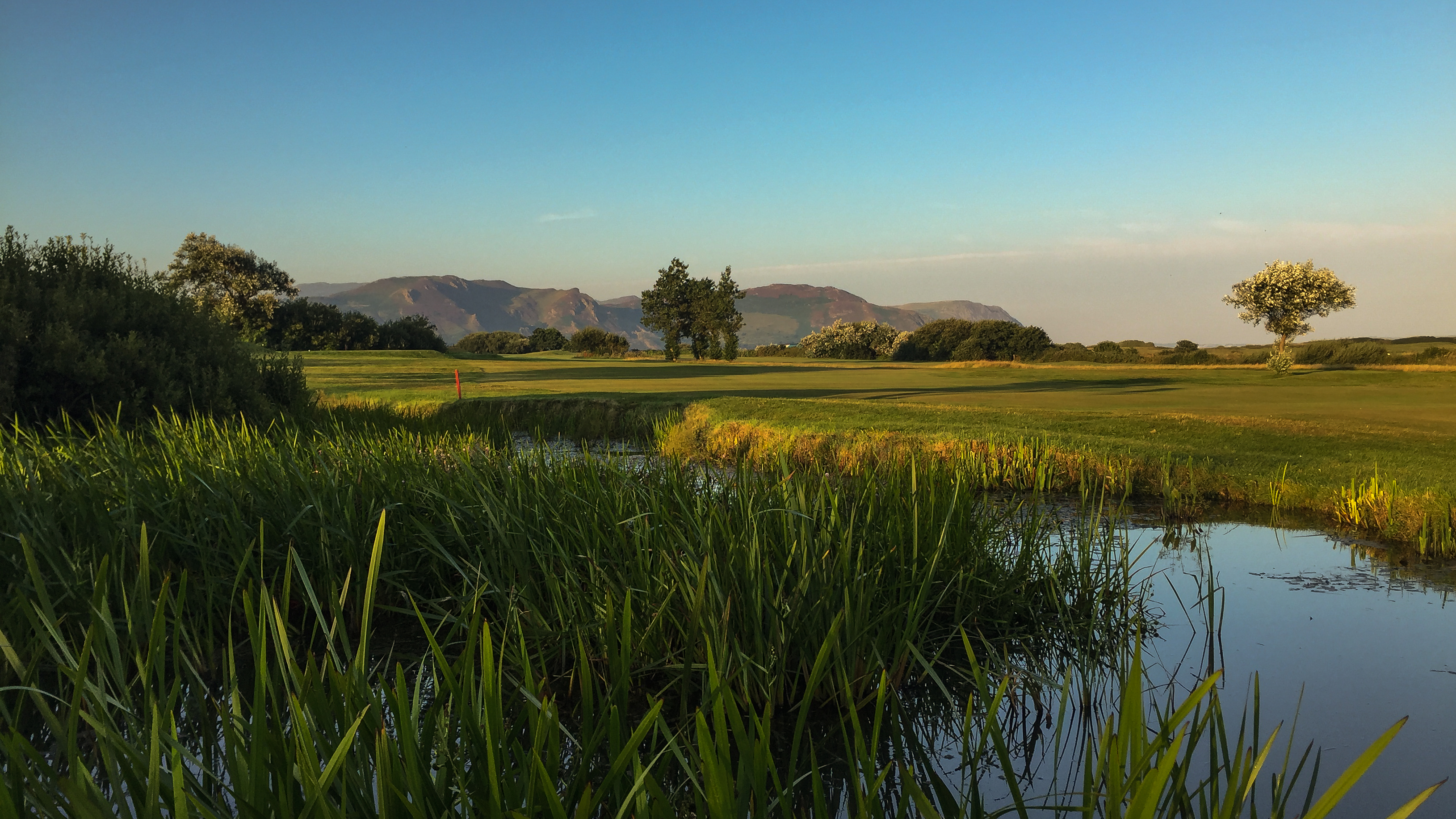 Golf post media