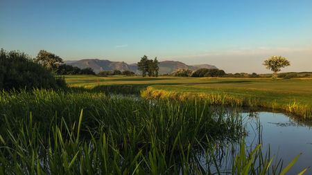 Golf post media