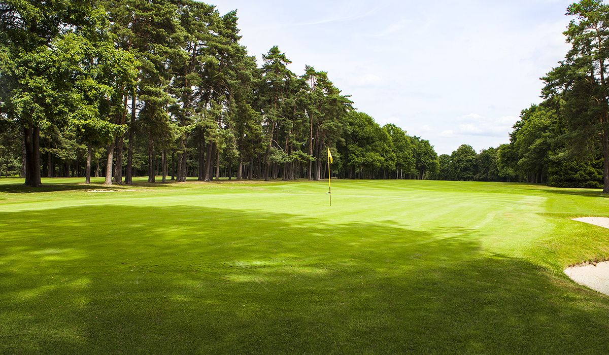 Golf post media