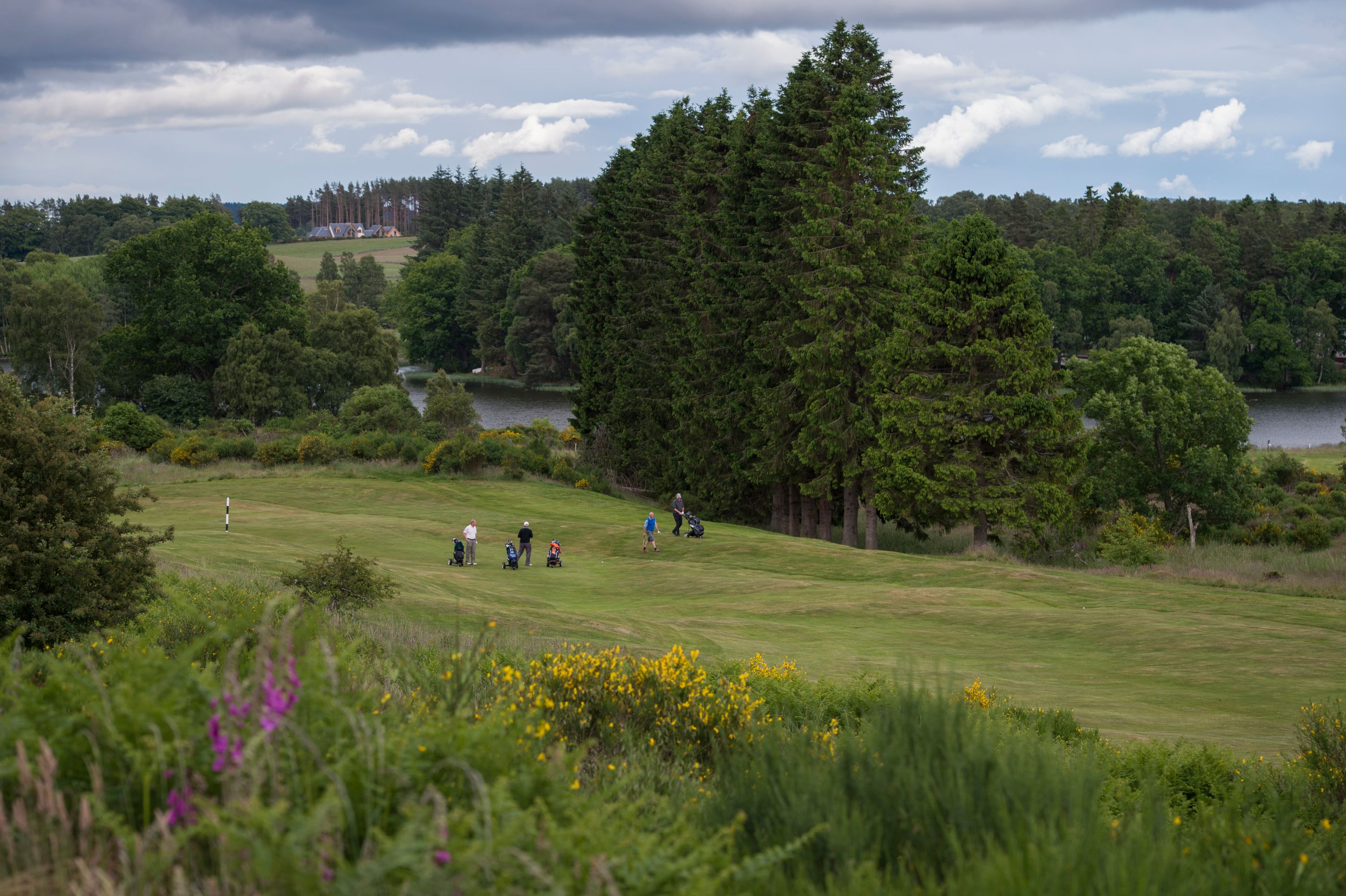 undefined Album Cover