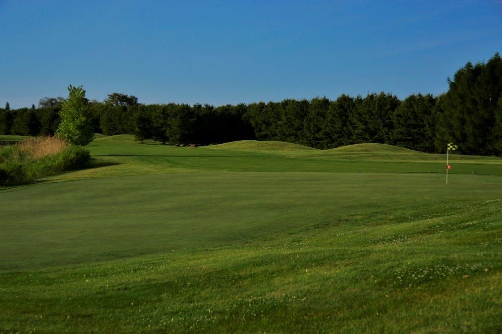 Deer Run Golf Course - Buck/Fawn cover picture
