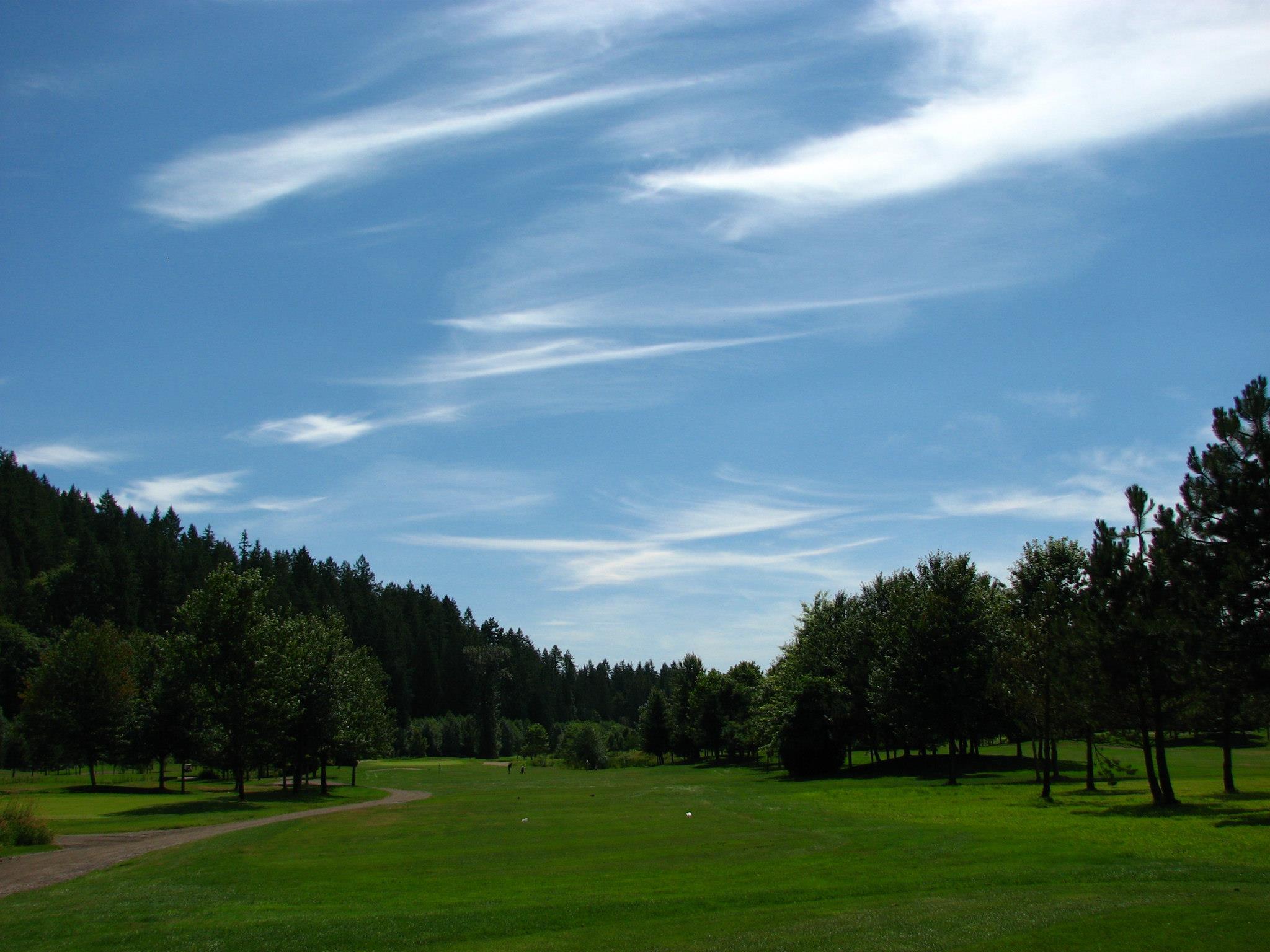 Meadow Gardens Golf Course All Square Golf