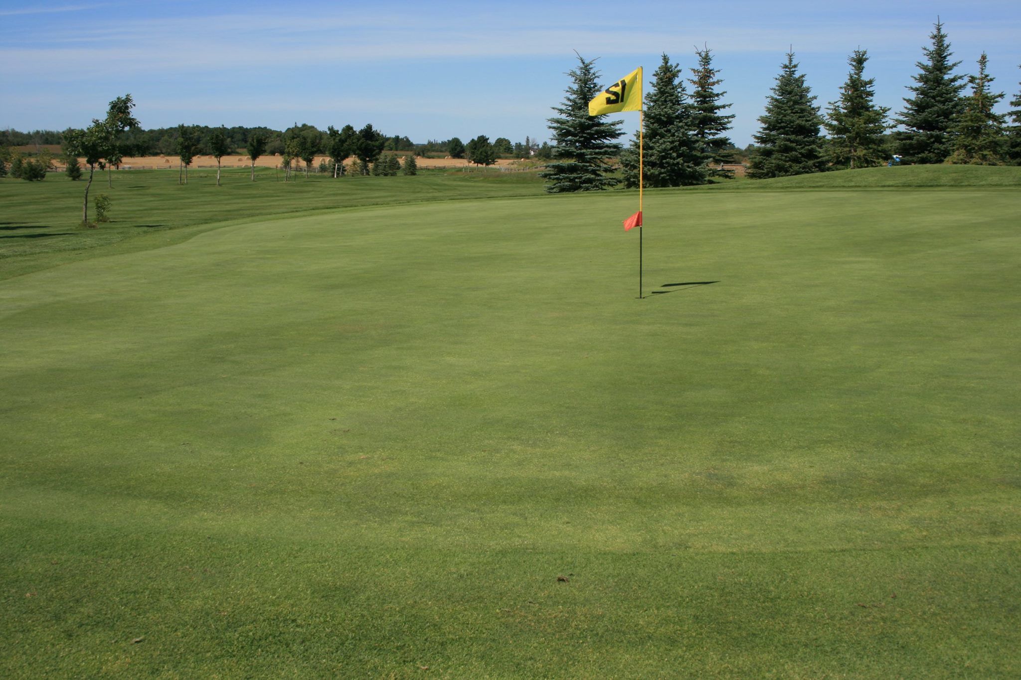 Shelburne Golf and Country Club cover picture