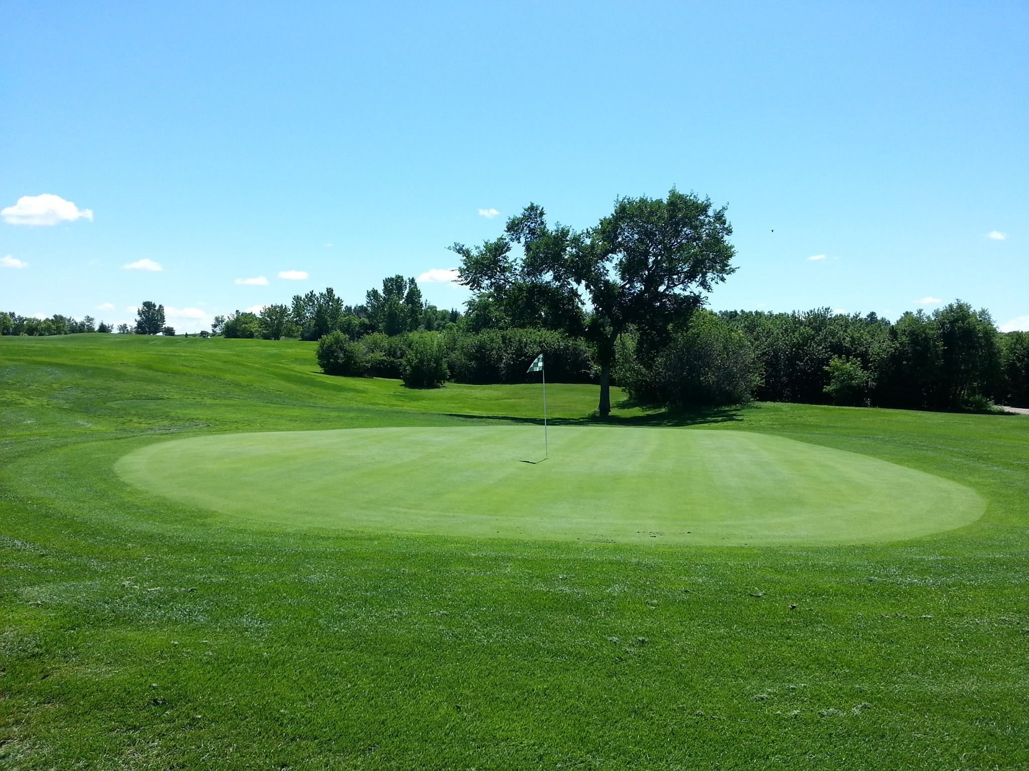 Sherwood Forest Country Club cover picture