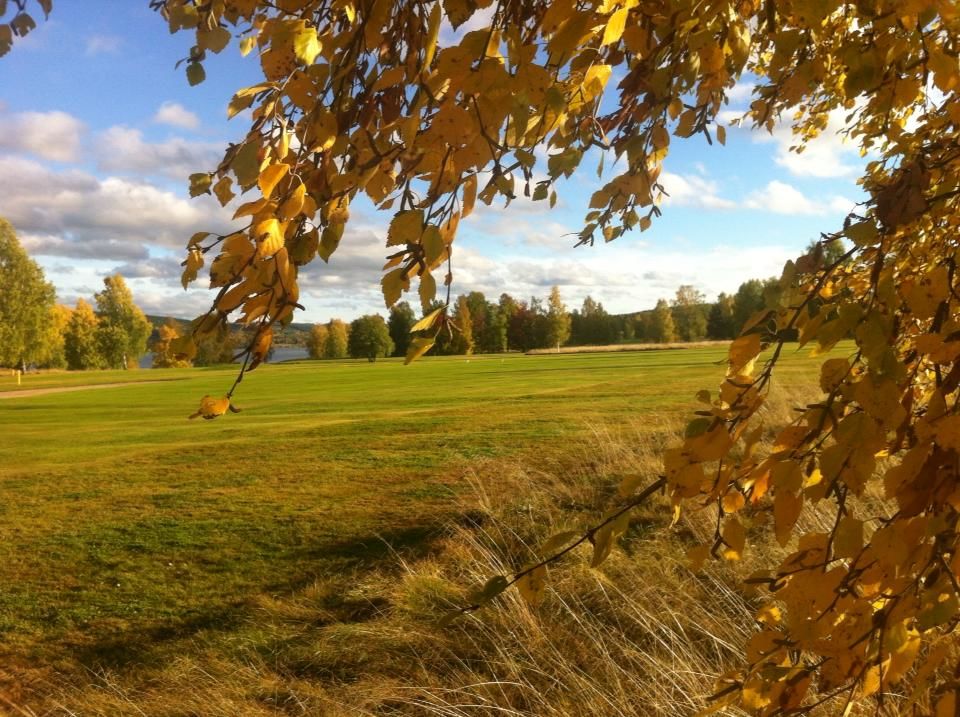 Uddeholms Golfklubb cover picture
