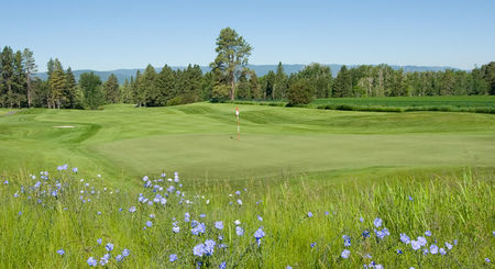 Big Mountain Golf Club cover picture