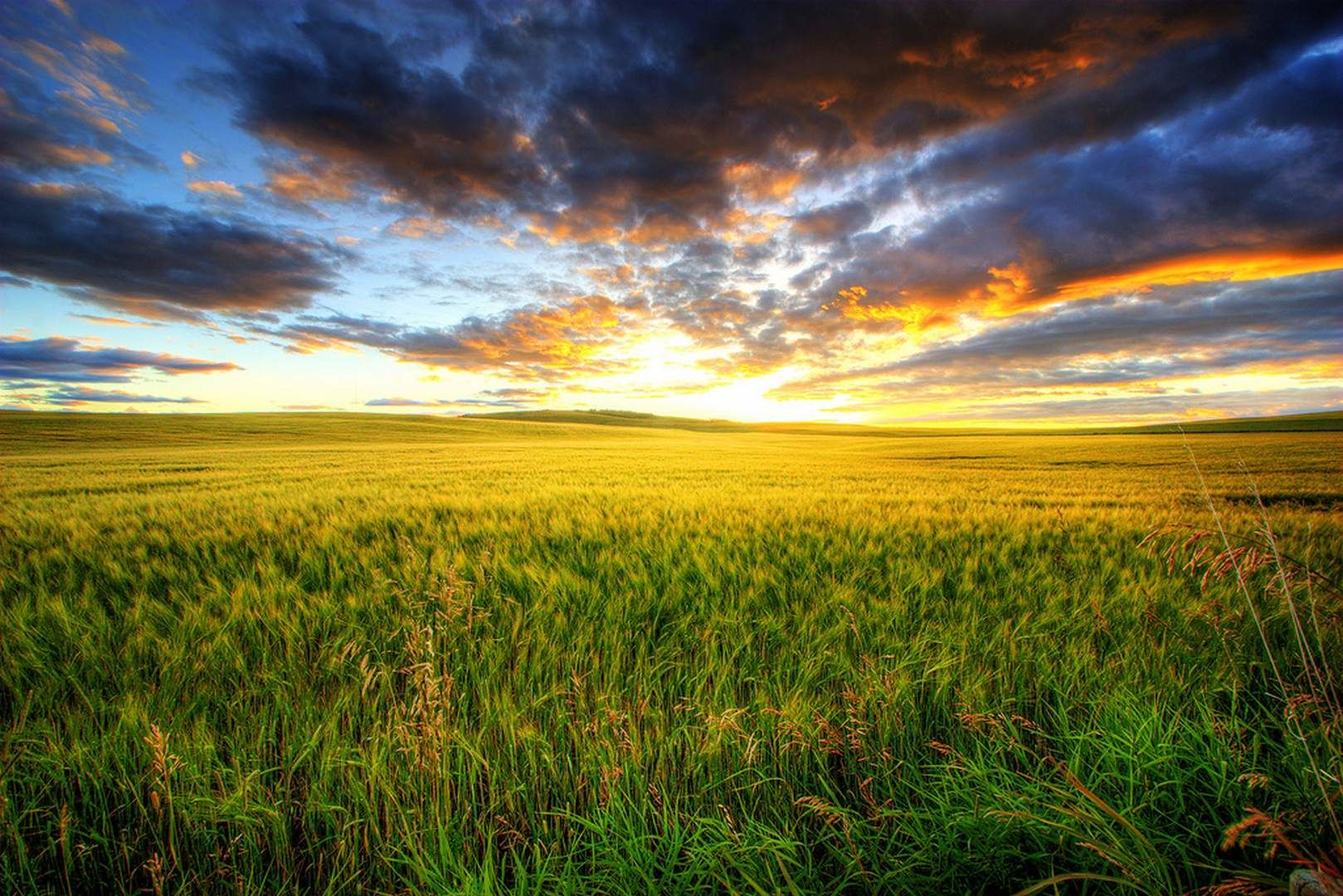 The Prairies, Canada} Cover Picture