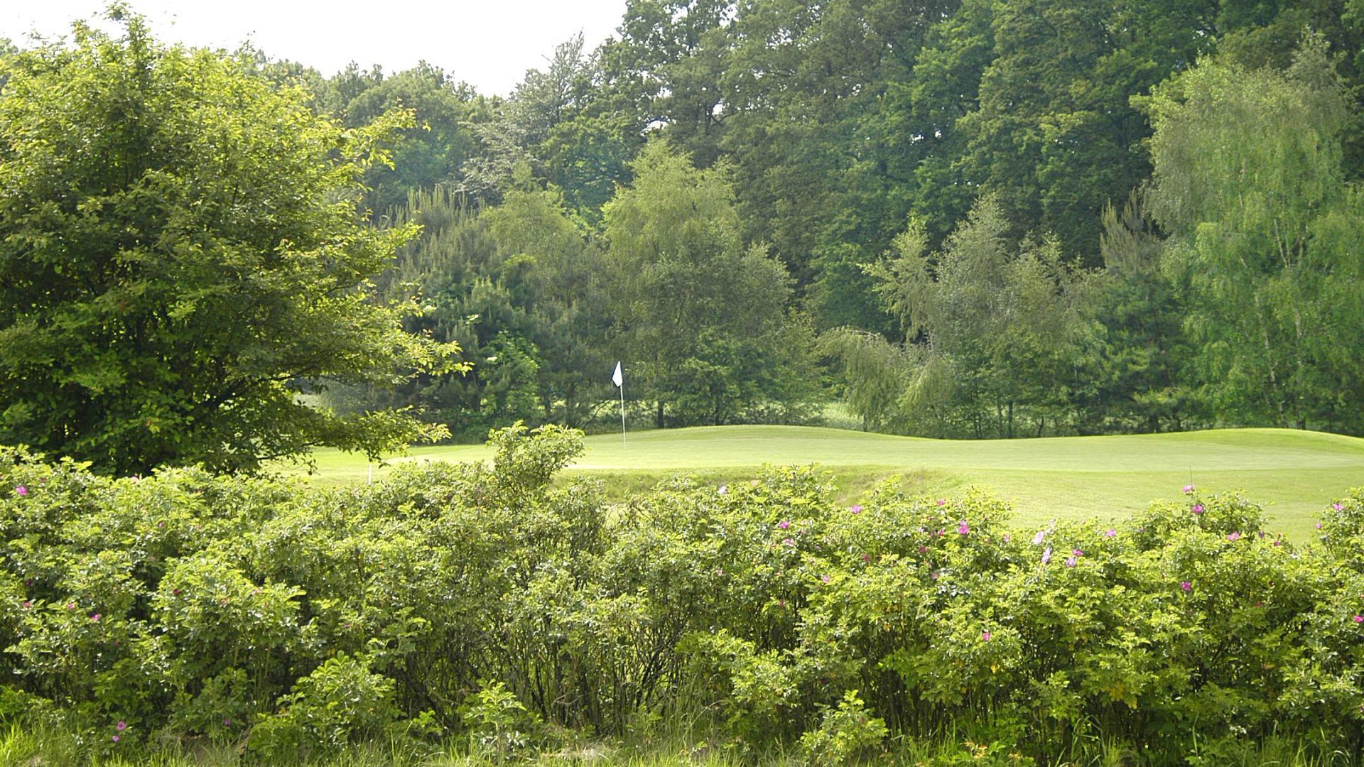 Warendorfer Golfclub An Der Ems e.V. cover picture