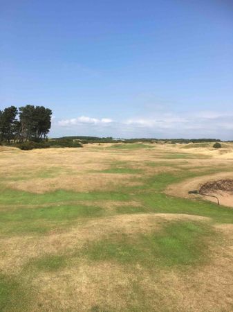 Golf post media