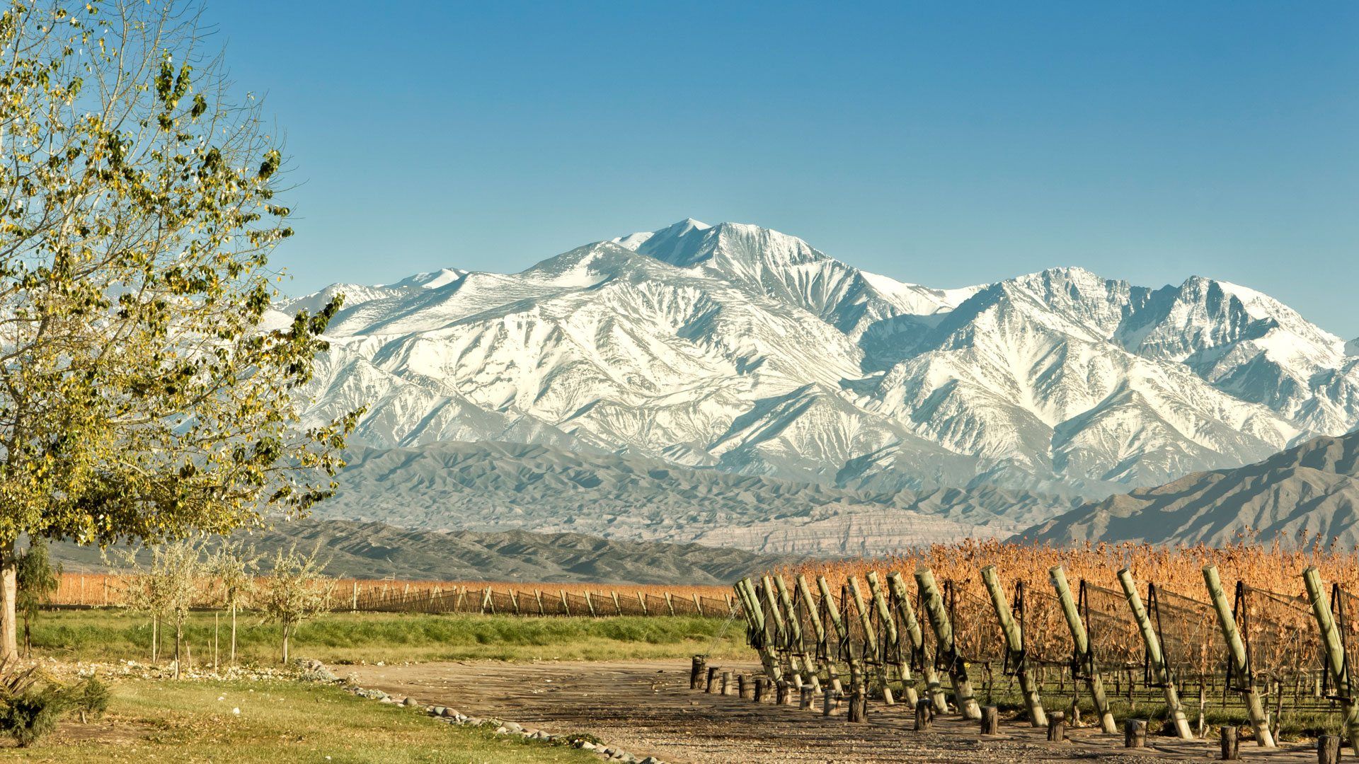 Mendoza, Argentina} Cover Picture