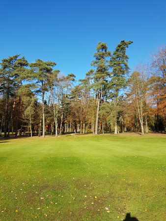 Golf post media