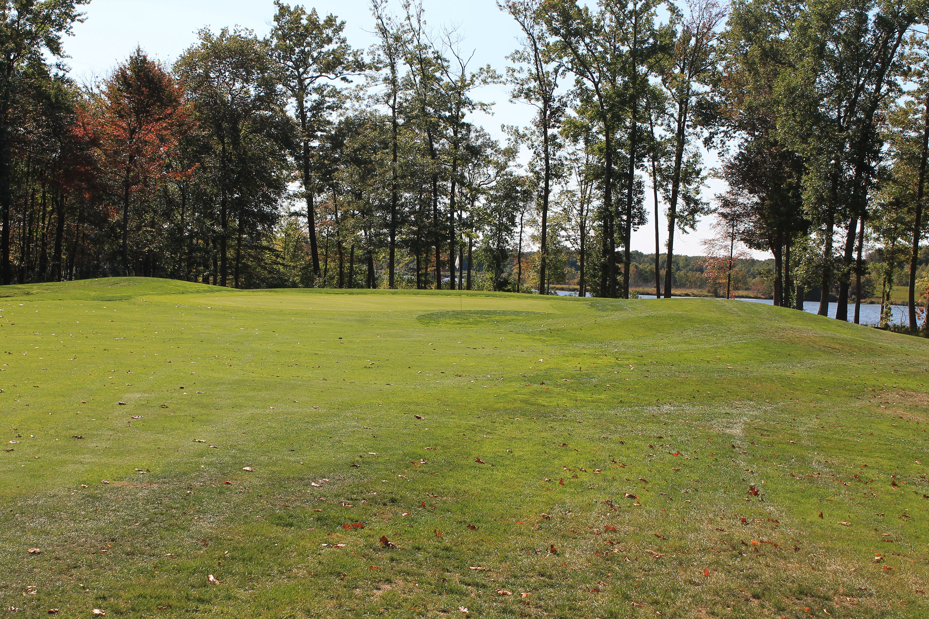 Gary Walsh Cover Picture