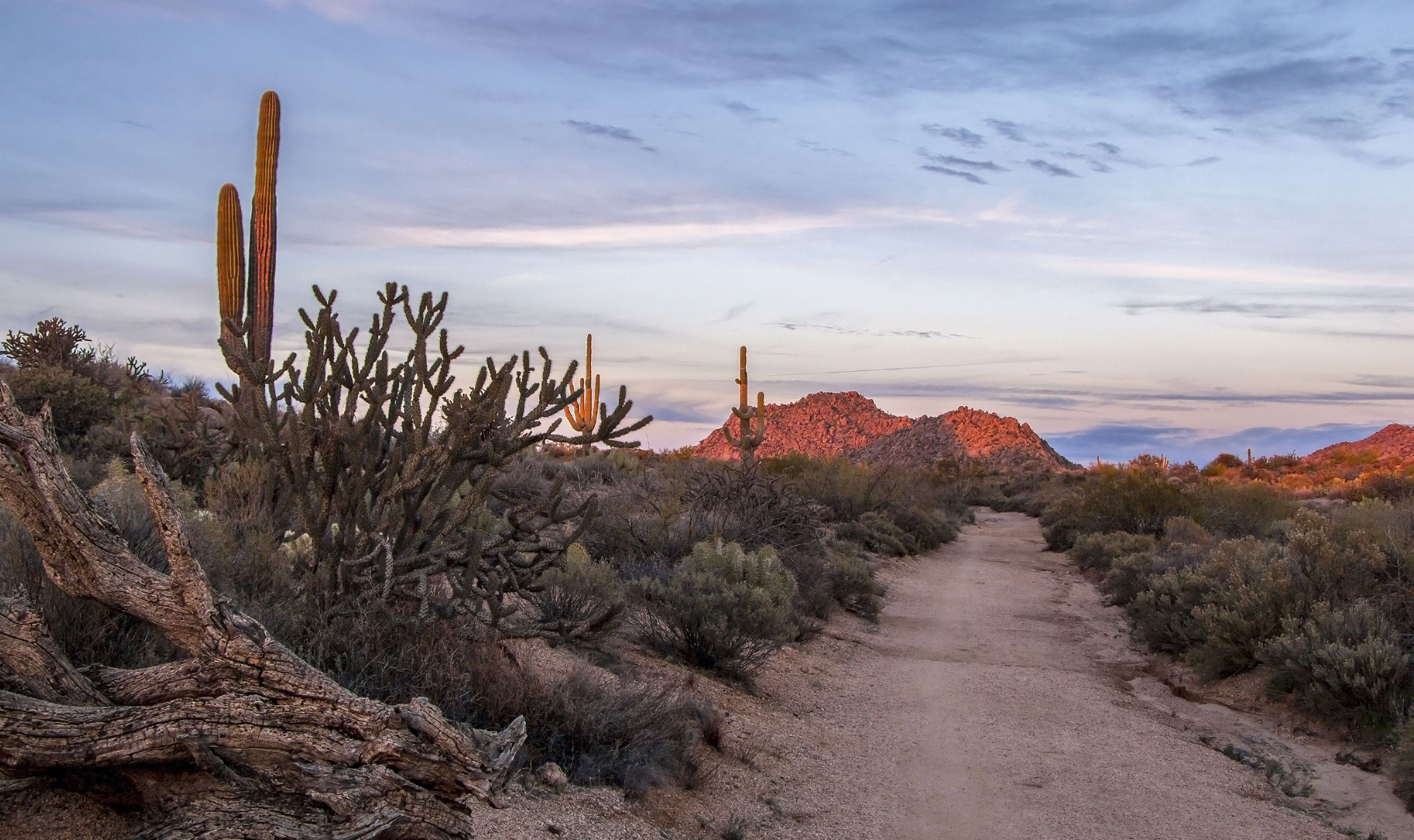 Scottsdale, United States} Cover Picture