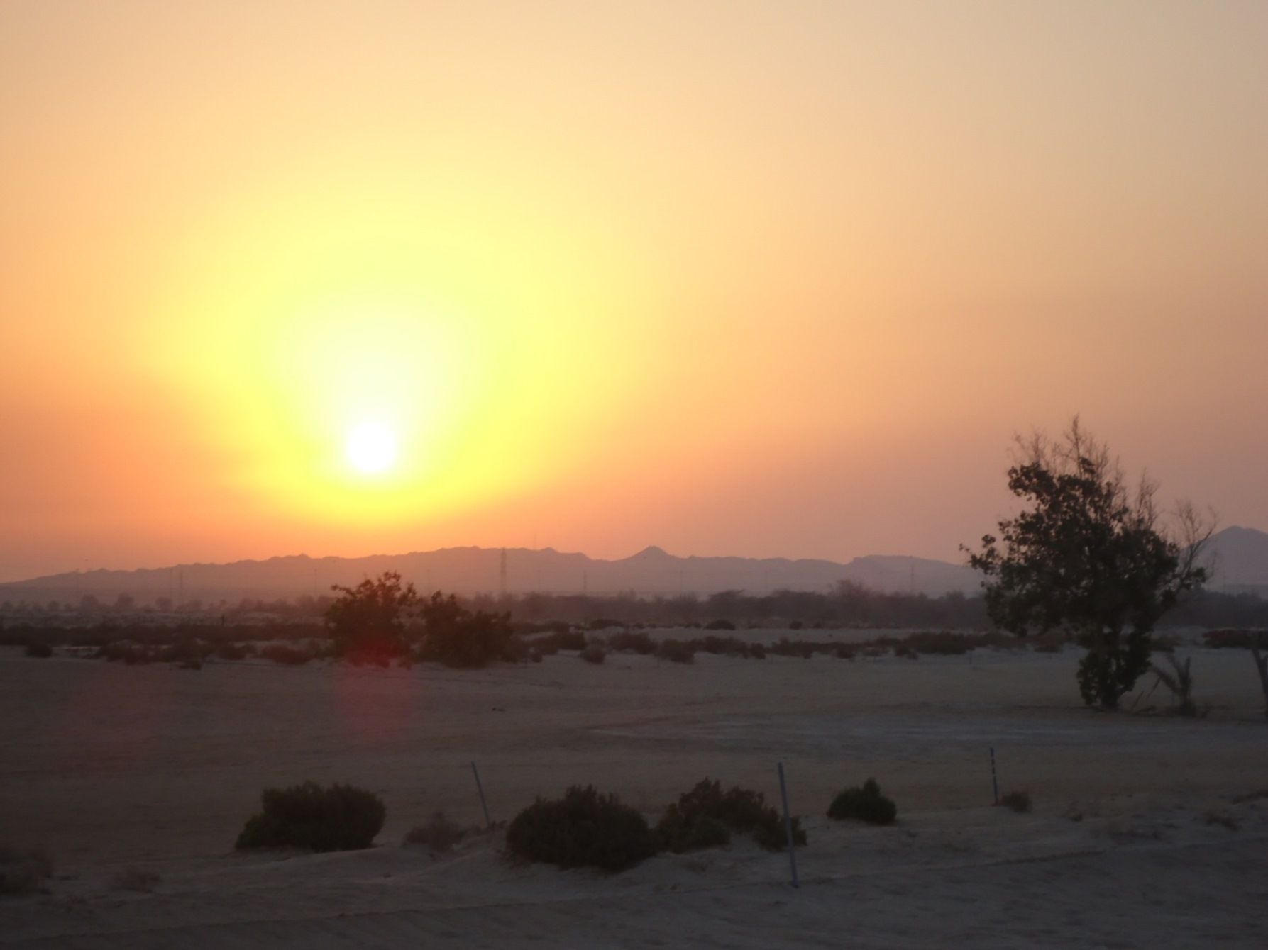 Al Dhafra Golf Links cover picture